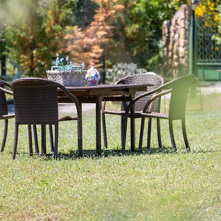 Zeusplace Olympus Olive 2 レプトカリヤ