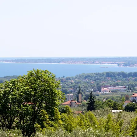 Zeusplace Olympus Olive 2 Prázdninový dům *