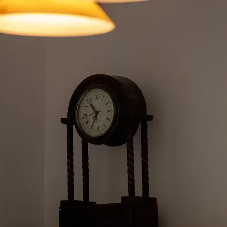 Zeusplace Olympus Olive 2 レプトカリヤ