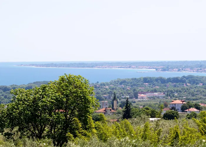 Zeusplace Olympus Olive 2 Prázdninový dům *