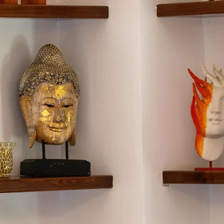 Zeusplace Olympus Olive 2