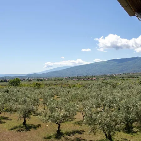 Holiday home Zeusplace Olympus Olive 2 *