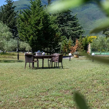 Zeusplace Olympus Olive 2