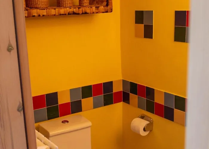 Zeusplace Olympus Olive 2